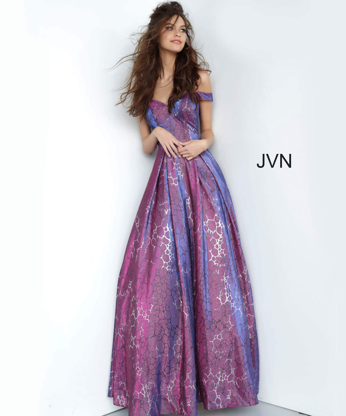 JVN 2013